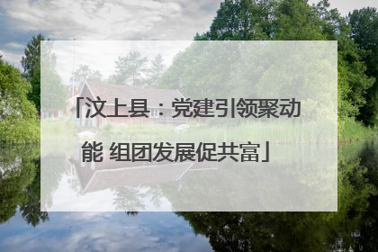 汶上县：党建引领聚动能 组团发展促共富
