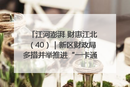 江河澎湃 财惠江北（40）｜新区财政局多措并举推进“一卡通”管理 保障惠民惠农补贴精准高效发放