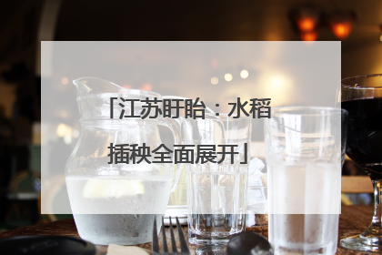 江苏盱眙：水稻插秧全面展开