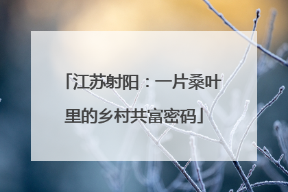 江苏射阳：一片桑叶里的乡村共富密码