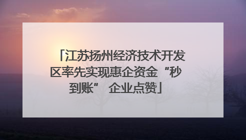 江苏扬州经济技术开发区率先实现惠企资金“秒到账” 企业点赞