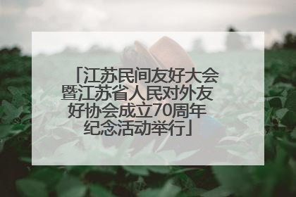 江苏民间友好大会暨江苏省人民对外友好协会成立70周年纪念活动举行