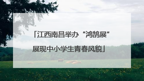 江西南昌举办“鸿鹄展” 展现中小学生青春风貌