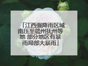 江西强降雨区域南压至赣州抚州等地 部分地区有暴雨局部大暴雨