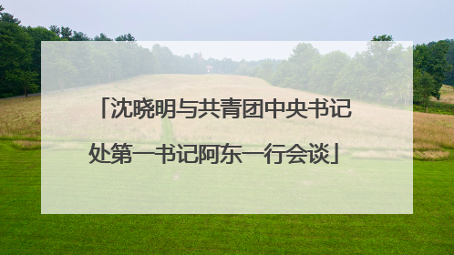 沈晓明与共青团中央书记处第一书记阿东一行会谈