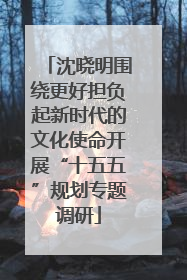 沈晓明围绕更好担负起新时代的文化使命开展“十五五”规划专题调研