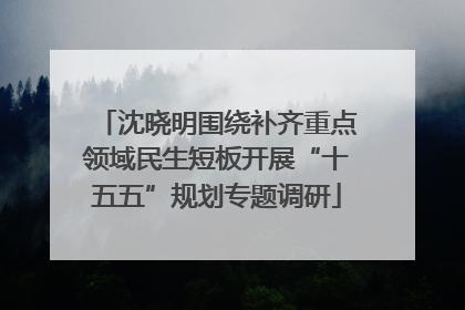 沈晓明围绕补齐重点领域民生短板开展“十五五”规划专题调研