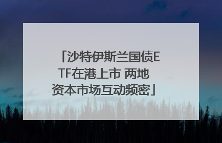沙特伊斯兰国债ETF在港上市 两地资本市场互动频密