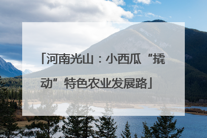 河南光山：小西瓜“撬动”特色农业发展路