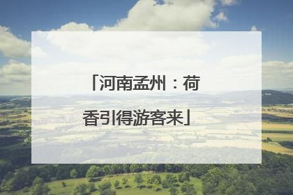 河南孟州：荷香引得游客来