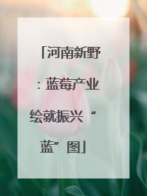 河南新野：蓝莓产业绘就振兴“蓝”图