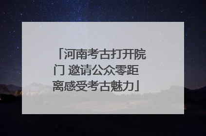 河南考古打开院门 邀请公众零距离感受考古魅力