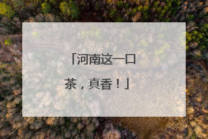 河南这一口茶，真香！
