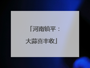 河南镇平：大蒜喜丰收