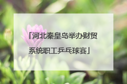 河北秦皇岛举办财贸系统职工乒乓球赛