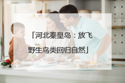 河北秦皇岛：放飞野生鸟类回归自然
