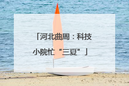 河北曲周：科技小院忙“三夏”