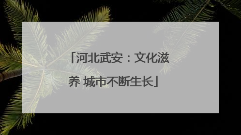 河北武安：文化滋养 城市不断生长