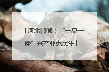 河北邯郸：“一品一播”兴产业惠民生