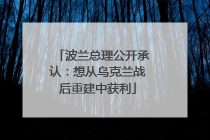 波兰总理公开承认：想从乌克兰战后重建中获利