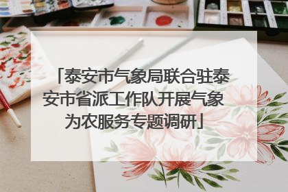 泰安市气象局联合驻泰安市省派工作队开展气象为农服务专题调研