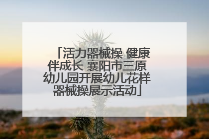 活力器械操 健康伴成长 襄阳市三原幼儿园开展幼儿花样器械操展示活动