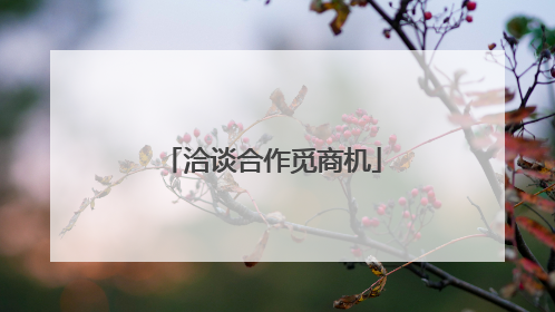 洽谈合作觅商机