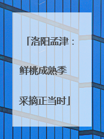洛阳孟津：鲜桃成熟季 采摘正当时