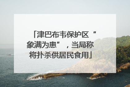 津巴布韦保护区“象满为患”，当局称将扑杀供居民食用