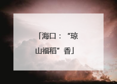 海口：“琼山福稻”香