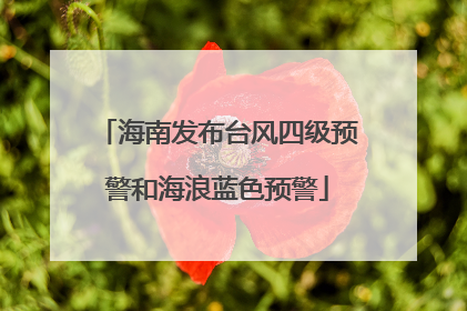 海南发布台风四级预警和海浪蓝色预警