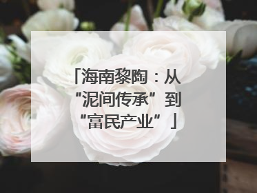海南黎陶：从“泥间传承”到“富民产业”