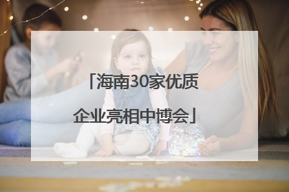 海南30家优质企业亮相中博会