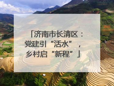 济南市长清区：党建引“活水”，乡村启“新程”