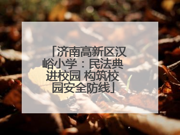 济南高新区汉峪小学：民法典进校园 构筑校园安全防线