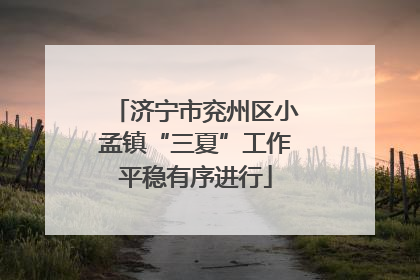 济宁市兖州区小孟镇“三夏”工作平稳有序进行