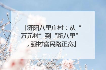 济阳八里庄村：从“万元村”到“新八里”，强村富民路正宽