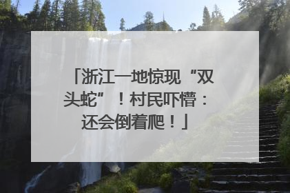 浙江一地惊现“双头蛇”！村民吓懵：还会倒着爬！