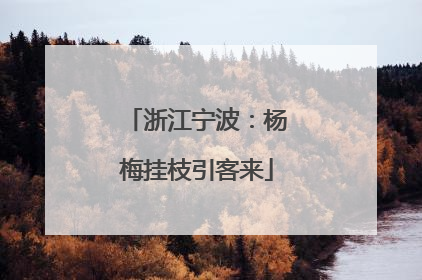 浙江宁波：杨梅挂枝引客来