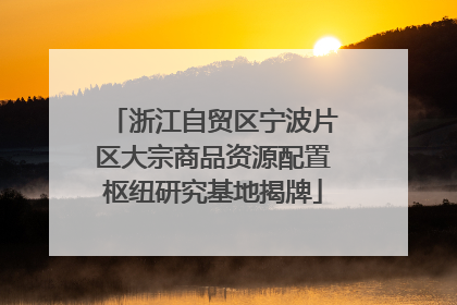 浙江自贸区宁波片区大宗商品资源配置枢纽研究基地揭牌