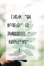 浠水“锅炉革命”让海鳗游出“绿色产值”