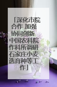深化市院合作 加强协同创新 中国农科院作科所调研石家庄小麦选育种等工作