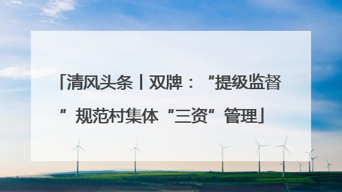 清风头条丨双牌：“提级监督”规范村集体“三资”管理