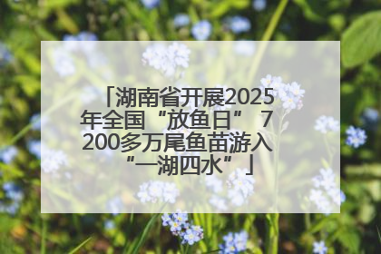 湖南省开展2025年全国“放鱼日” 7200多万尾鱼苗游入“一湖四水”