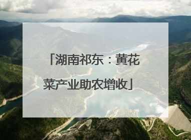 湖南祁东：黄花菜产业助农增收