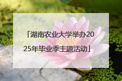 湖南农业大学举办2025年毕业季主题活动