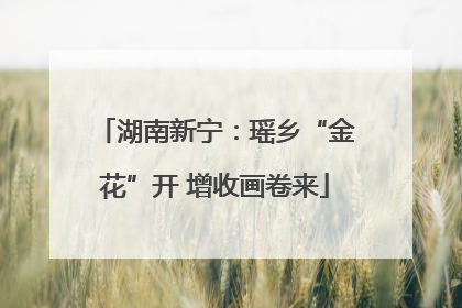 湖南新宁：瑶乡“金花”开 增收画卷来