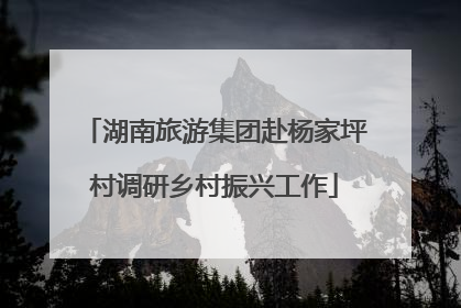 湖南旅游集团赴杨家坪村调研乡村振兴工作