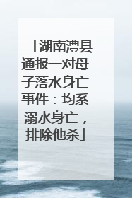 湖南澧县通报一对母子落水身亡事件：均系溺水身亡，排除他杀