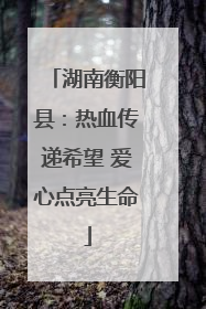 湖南衡阳县：热血传递希望 爱心点亮生命